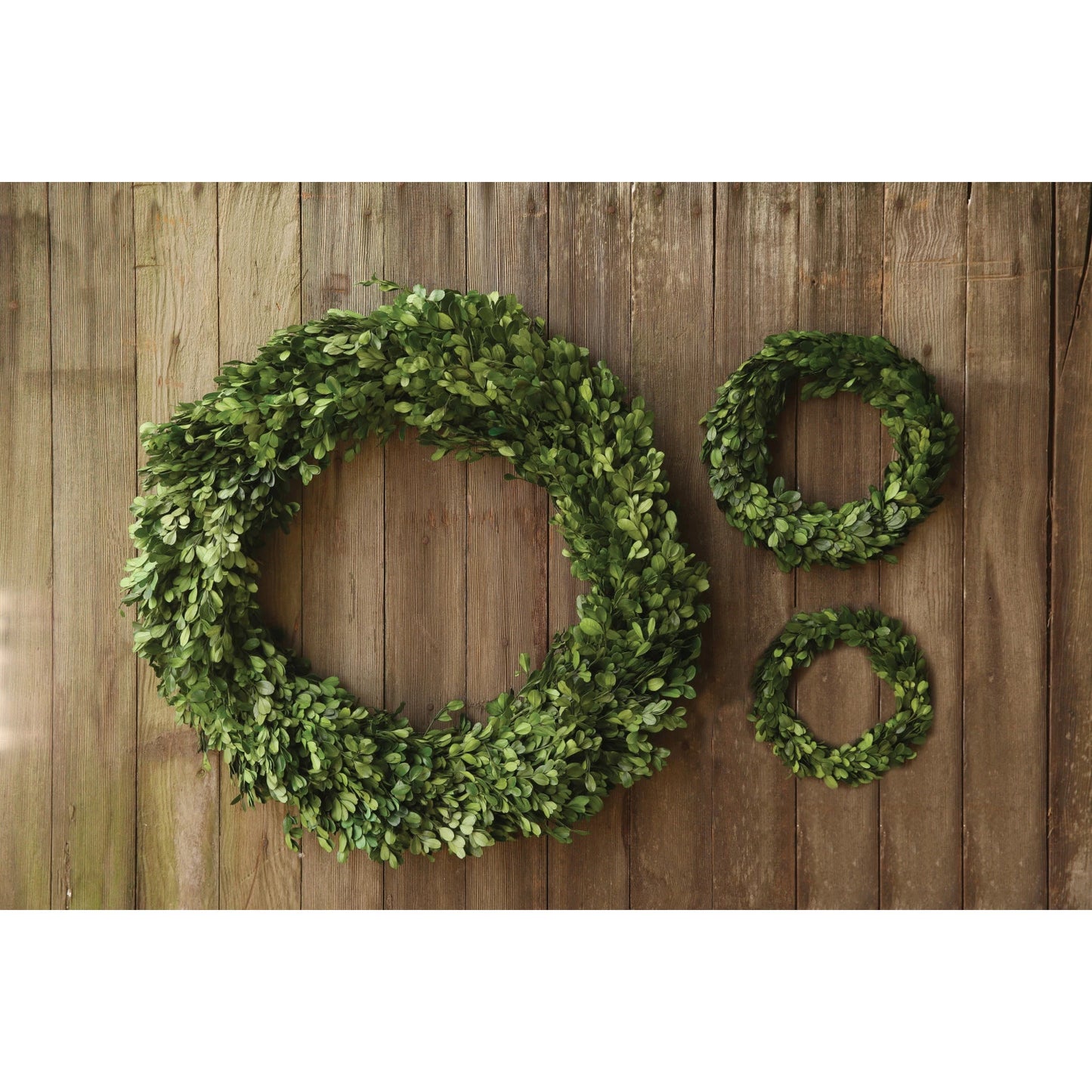 Boxwood Wreath