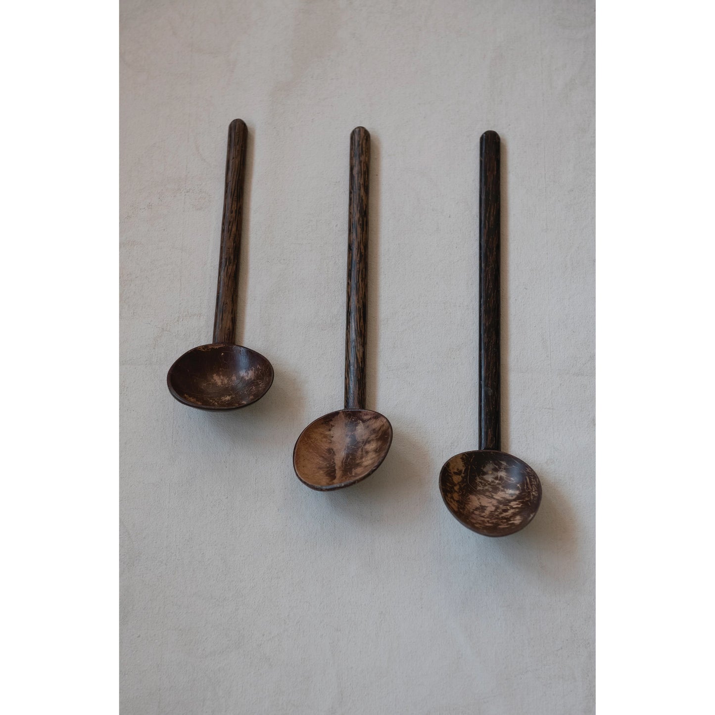 Coconut Shell Spoons with Mango Wood Handle