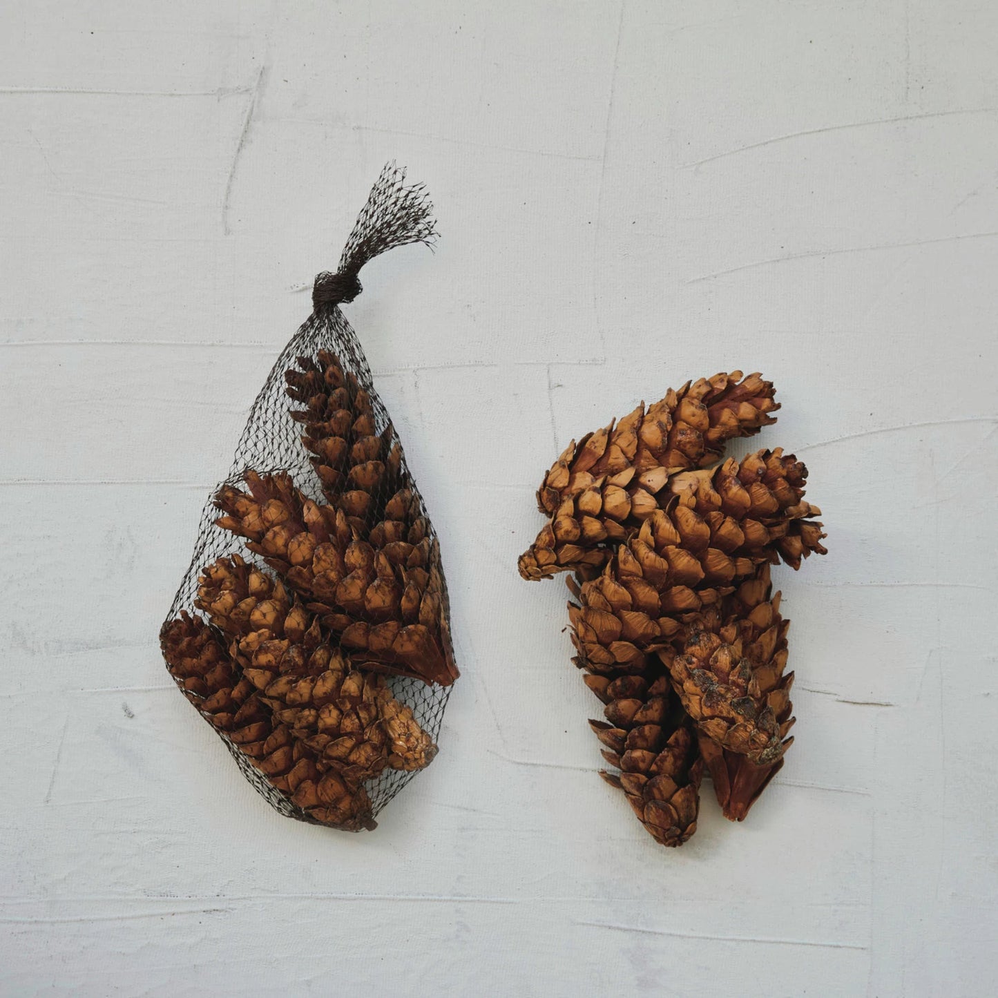 Dried Natural Pinecones in Mesh Bag